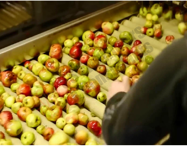 Industrial Cleaning & Sanitization