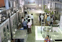 Milk Reception Plant